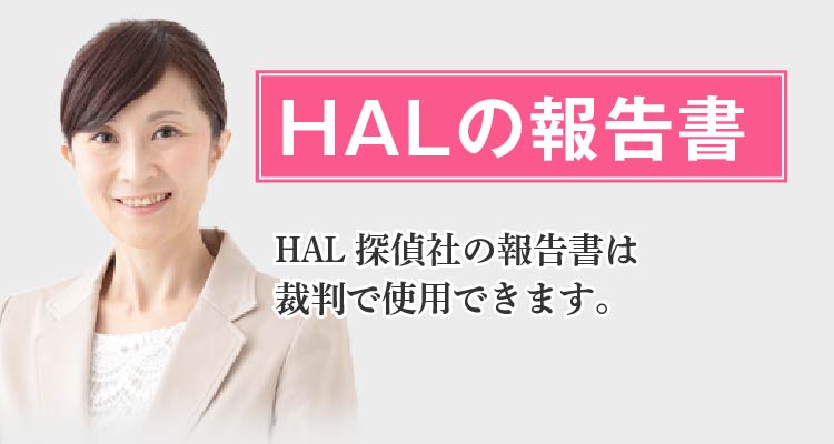 HALの報告書 -HAL探偵社の報告書は裁判で使用できます。